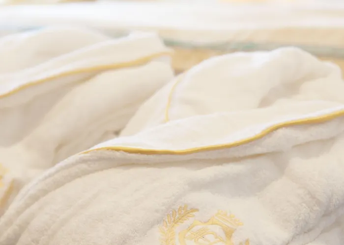 Terme Europa 阿巴诺泰尔梅